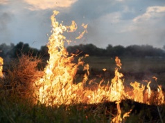 Koniec pobłażania dla podpalaczy. Nowe przepisy już obowiązują. Nawet 30 tys. zł kary za wypalanie traw