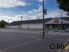 Zaparkujesz źle pod Lidlem? Uwaga! Możesz zapłacić aż 5000 zł!