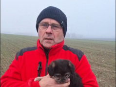 Janusz Terka: Rolnik w Warszawie traktowany jest jak intruz. „To było zlecenie polityczne”