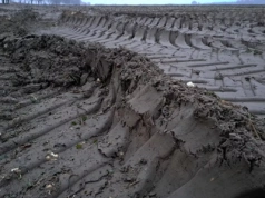 Zbita gleba po zbiorach buraka i kukurydzy – jak przygotować pole na wiosnę?