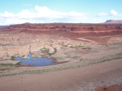 Efekt domina. Decyzje Trumpa podniosą ceny żywności w Europie?