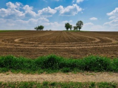 Ukraiński oligarcha jeszcze powiększył areał gruntów. Przejmuje ponad 40 tysięcy hektarów