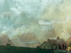 Pellet, węgiel czy drewno – co najbardziej zanieczyszcza powietrze?