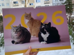 „Kup kalendarz i pomóż zwierzakom”. Chętnych nie brakuje