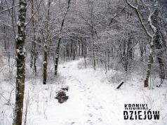 Miał 13 lat i wyszedł po mleko. Przez osiem dni był więziony w drewnianej skrzyni