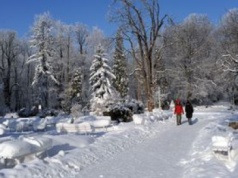 NFZ bezradny wobec „niedojazdów” do sanatoriów. Tysiące rezygnacji