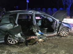 Pięć młodych osób i alkohol. To zdjęcie mówi wszystko