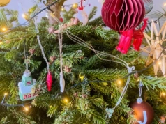 MPGK odbiera już świąteczne choinki