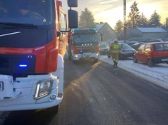 Strażacy wyciągali sarnę z wykopu. Tak szybko, że nawet… nie zdążyli zrobić zdjęcia
