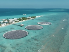 Wielka farma fotowoltaiczna w ośrodku na Malediwach. Gigantyczne korzyści finansowe i środowiskowe