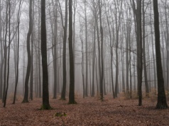 Owiane tajemnicą miejsce w Polsce. Drzemie tam "złe licho", a GPS przestaje działać