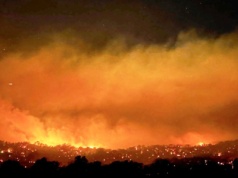 Pożary buszu w Australii. Ogłoszono strefy klęski żywiołowej