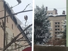 Sople i nawisy śnieżne nad wejściami do klatek. Andrychów
