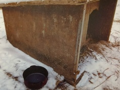 Interwencja w gminie Wieprz. Wychudzony pies trzymany na łańcuchu