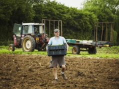 Emerytura rolnicza a praca za granicą: tak KRUS zalicza lata zarobkowania poza Polską