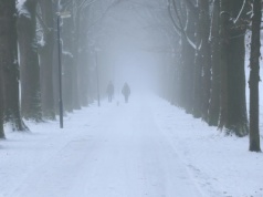 Mróz nie zaskakuje. Zaskakuje, że wciąż nie jesteśmy na niego gotowi