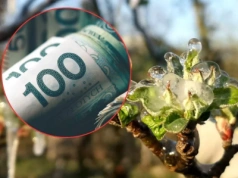 Rolnikom zostało kilka dni. 2400 zł do hektara przepadnie bez tych załączników