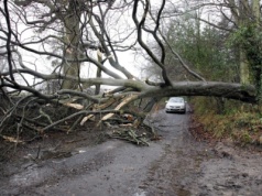 Prognoza pogody dla UK na najbliższy tydzień – Met Office ostrzega przed wiatrem i intensywnymi opadami