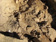 Praktyki "religijne" neandertalczyków? To odkrycie może być rewolucyjne