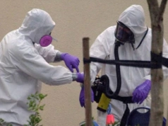 Alarm w Niemczech. Wykryto groźną chorobę – eksperci ostrzegają przed epidemią