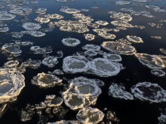 Niezwykłe zjawiska na rzekach w całym kraju. Wszyscy wyciągają aparaty