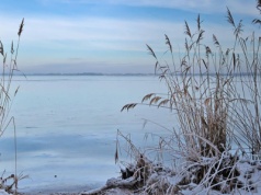Chciał uwiecznić swój wyczyn. Włączył kamerę i "zapłacił najwyższą cenę"