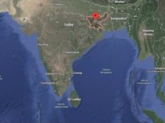 Indie. Młody słoń zabił 20 osób. Trwa obława