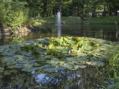 W tym roku rusza rewitalizacja stawu w Parku Zdrojowym w Jaworzu