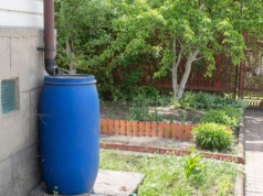 Dają 4000 zł na deszczówkę. Już 15 stycznia rusza program „Mój Deszcz”