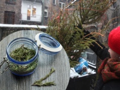 Zamiast do kosza, igły z choinki wrzuć do słoika i zalej octem. Ten patent to złoto