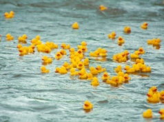 Gumowe kaczki w służbie NASA. 90 zabawek "badało" potężny lodowiec