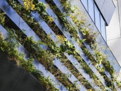 Fundacja Orlen dla Pomorza przyznała granty na rzecz adaptacji klimatycznej