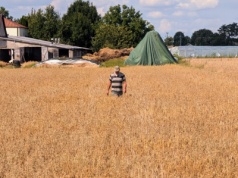 Nowe zasady „rolnika aktywnego”. Minister ujawnił szczegóły