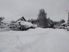 „Jak jest zima, to musi być zimno”