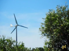 W tych regionach Polski przydomowa turbina wiatrowa nie ma żadnego sensu. "Za mało wieje"