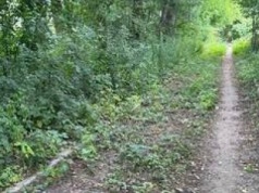 Wrocław: rusza projektowanie trasy spacerowej przez bobrowisko