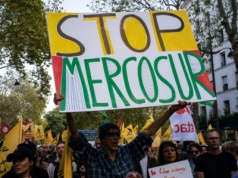 KRIR przeciwko Mercosurowi. Rolnicy domagają się zbadania umowy przez TSUE