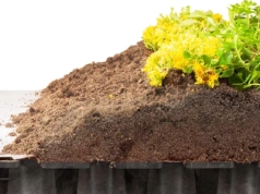 Kratki na zielony dach – jak zaplanować warstwy, drenaż i ochronę roślin?