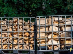 Ile kosztuje drewno kominkowe w bieżącym roku? Jakie są cenowe trendy?