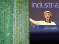 Mercosur to temat przede wszystkim dla konsumentów żywności