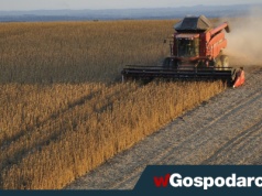 Polska już zależna od soi z Mercosur