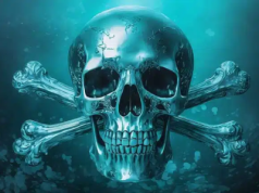 Naukowcy stworzyli szczep ptasiej grypy, który powoduje 100% śmiertelność wśród ssaków