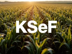 KSeF obowiązkowy od 2026 r. Co muszą wiedzieć rolnicy i agrobiznes?