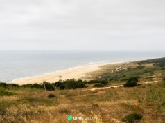 Portugalia. Na plaży znaleziono 150-milionowe jaja dinozaura