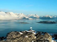 Europejskie państwa wysyłają żołnierzy na Grenlandię. Chcą bronić wyspy przed USA?