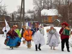 „Koniki” z Dawidgródka – żywe dziedzictwo Polesia