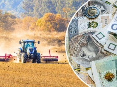 Rolnicy chcą kar dla spekulantów ziemią z KOWR: „5 lat zakazu udziału w przetargach”