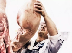 Gobarto przejmuje! Duża transakcja na rynku hurtowni spożywczych w Polsce