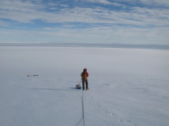 Różowe skały w Antarktydzie ujawniły ukrytego giganta. To zmienia spojrzenie na zachodzące zmiany