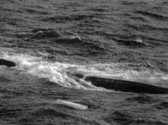 „Heweliusz” – największa katastrofa polskiej żeglugi w czasie pokoju. Co poszło nie tak?